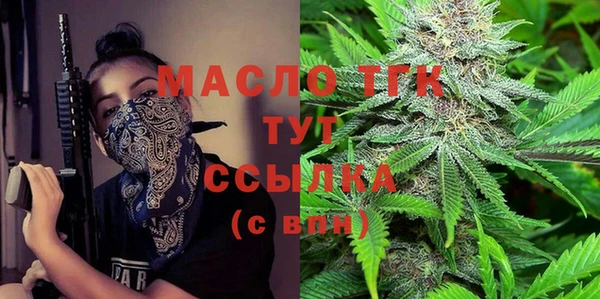 МДПВ Вяземский