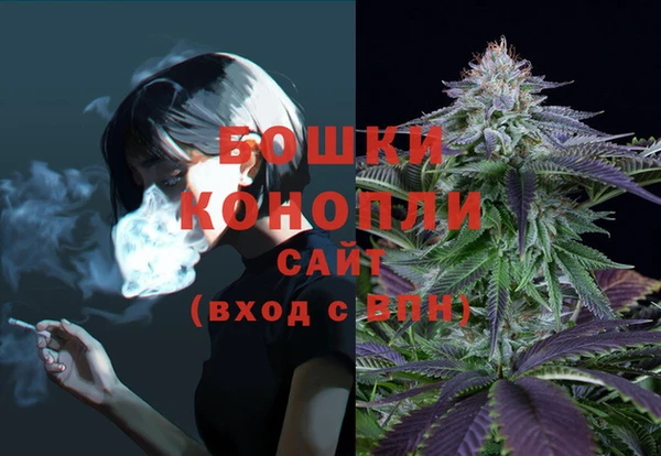 PSILOCYBIN Соликамск