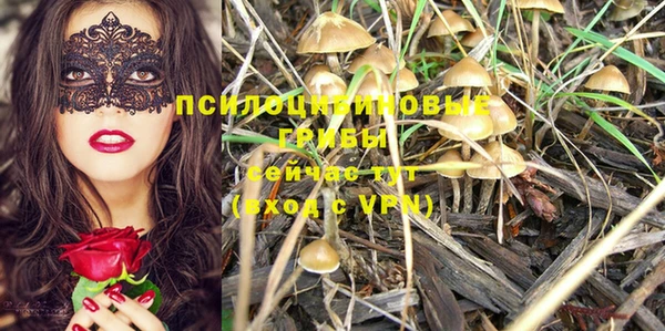 таблы Вязьма