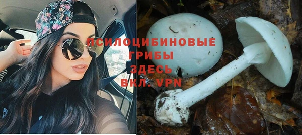 МДПВ Вяземский