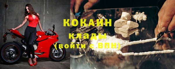 МДПВ Вяземский