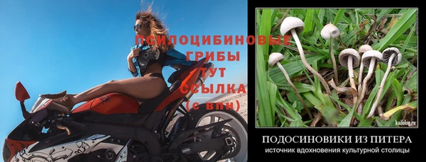 таблы Вязьма