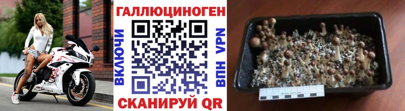 даркнет официальный сайт  даркнет сайт  Ивангород  Галлюциногенные грибы мухоморы 
